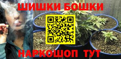 гашик Лесосибирск