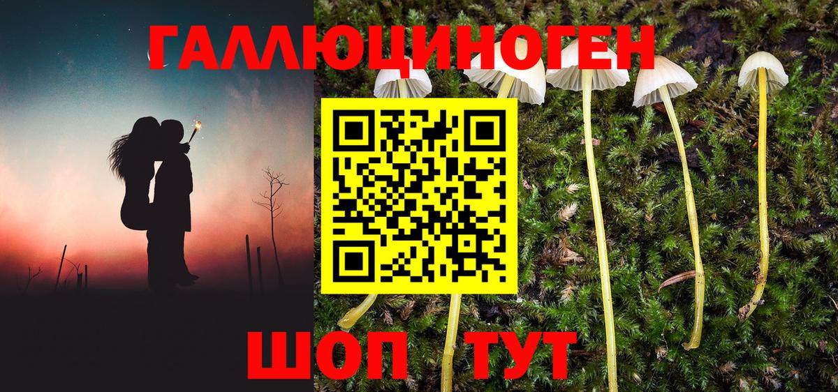 Галлюциногенные грибы MAGIC MUSHROOMS Донецк