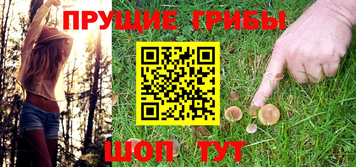 Донецк  Псилоцибиновые грибы Cubensis  Вход с VPN 
